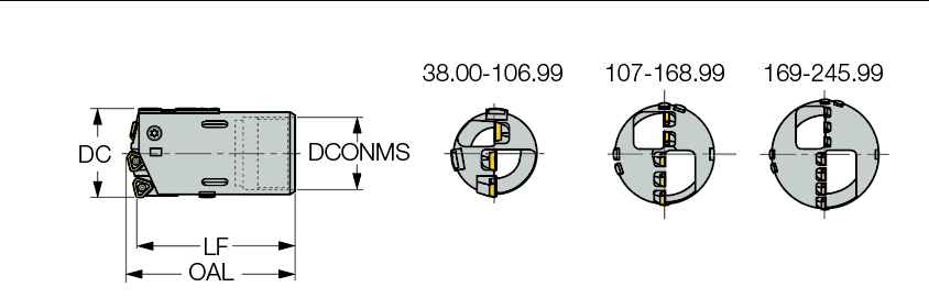 1745574546492.jpg