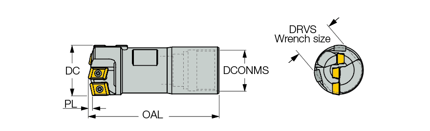 DSD-IF-FB.jpg
